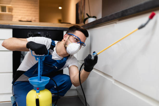 Best Affordable Pest Control Services  in Zapata, TX