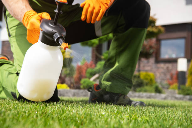 Best Pest Prevention Services  in Zapata, TX