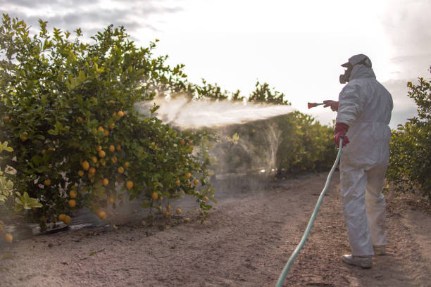 Zapata, TX Pest Control Company
